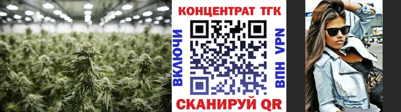 Дистиллят ТГК жижа  OMG зеркало  Петрозаводск  где купить наркоту 