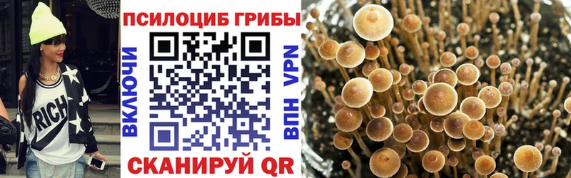 Галлюциногенные грибы Cubensis  omg зеркало  Петрозаводск 
