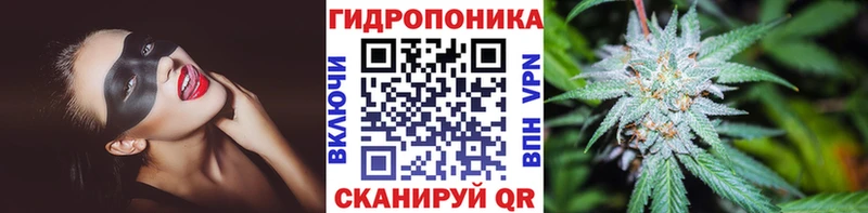 Конопля SATIVA & INDICA блэк спрут tor Петрозаводск наркошоп